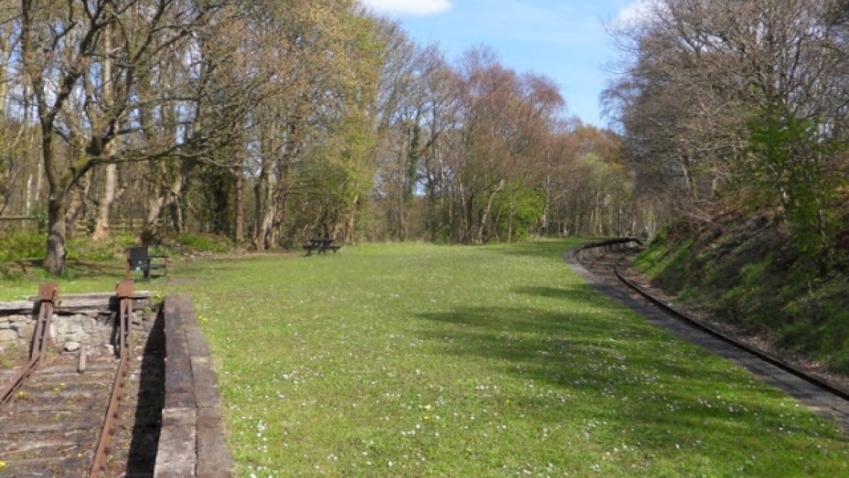a large long train on a lush green field