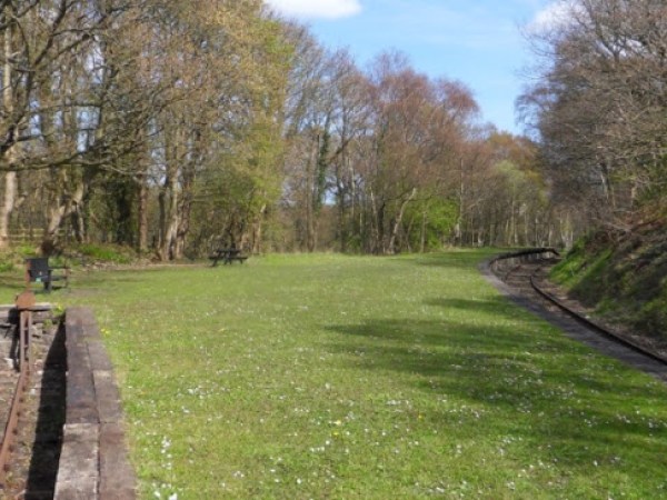 a large long train on a lush green field