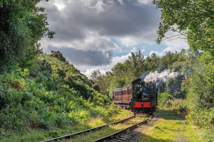 a train traveling down train tracks near a forest