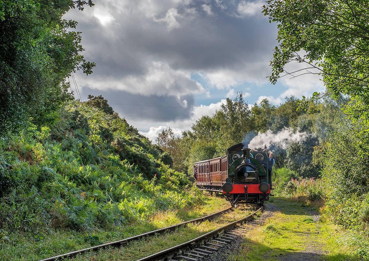 a train traveling down train tracks near a forest