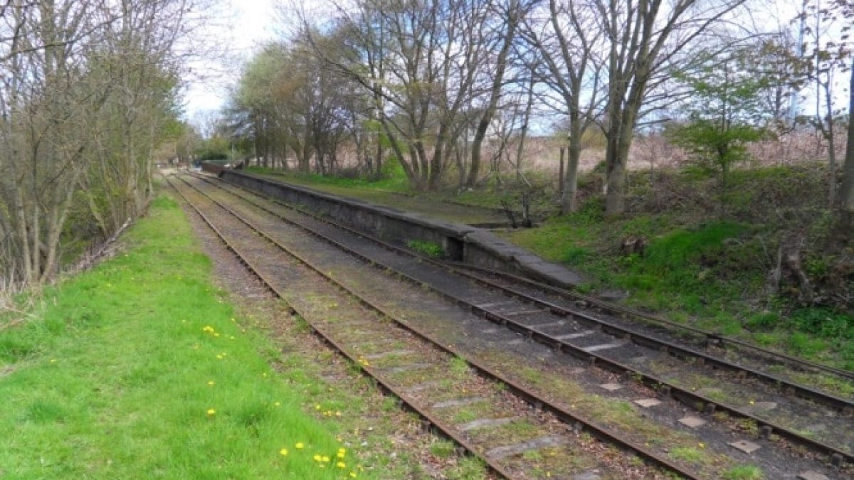 a train traveling down train tracks near a forest