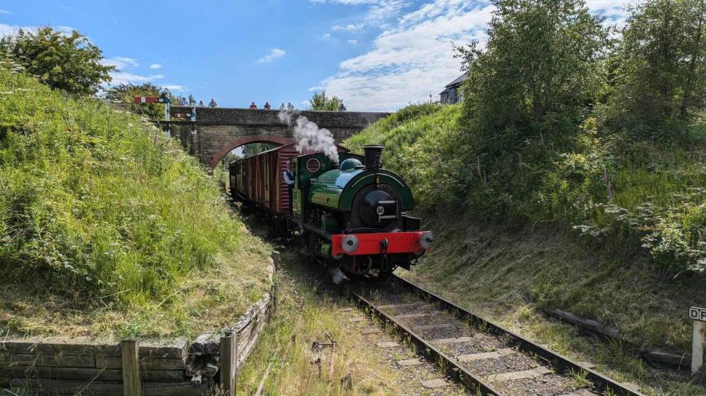 a train traveling down train tracks near a forest