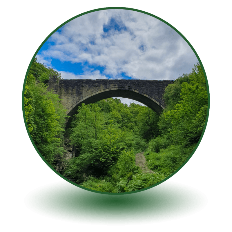 Causey Arch(1) a round image of bridge