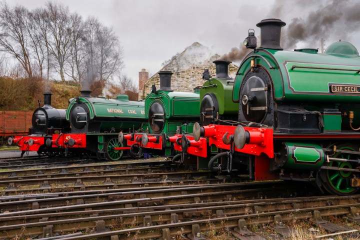 A line up of steam engines at Tanfield Railway in front of Marley Hill engine shed