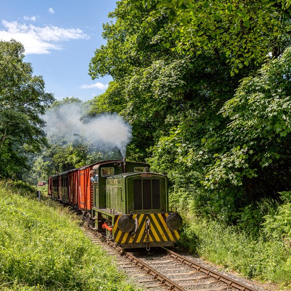 Train traveling through lush green forest with smoke rising and blue sky above.