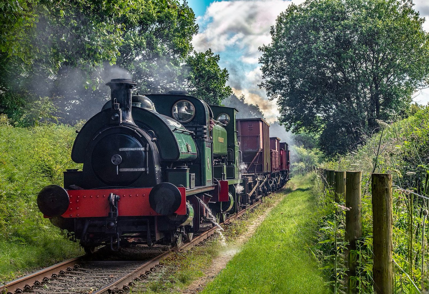 a steam engine train traveling down train tracks near a forest