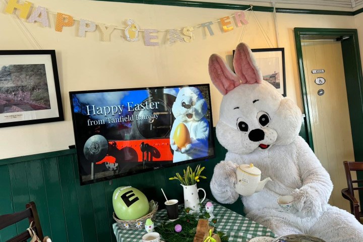 Easter bunny in costume pouring tea at a table with Easter decor.