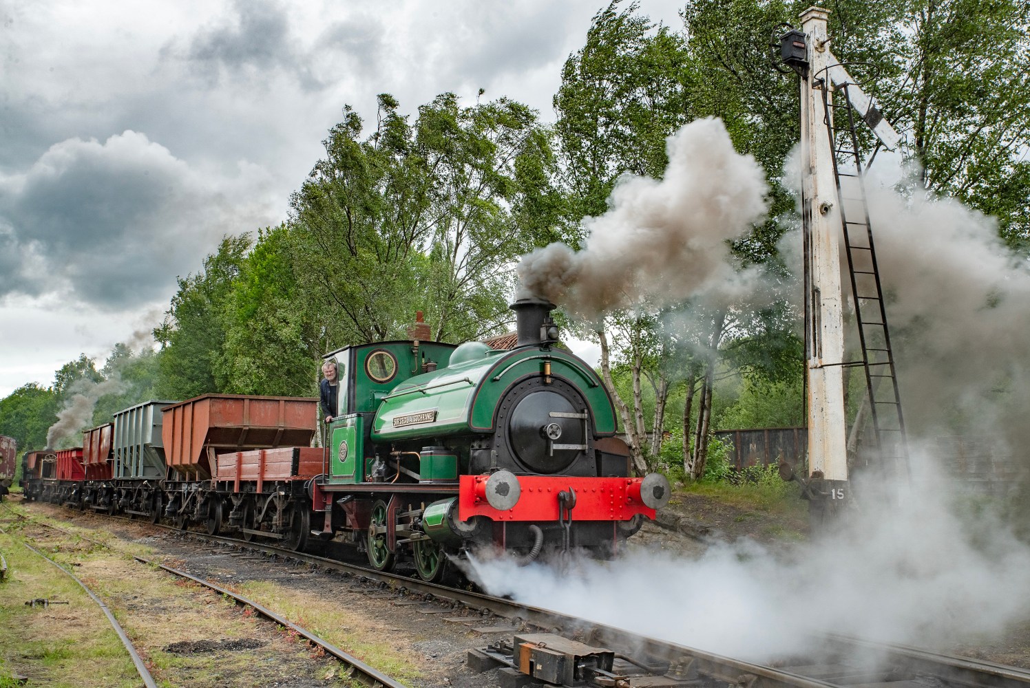 Steam locomotive with freight cars emitting smoke on a leafy track.