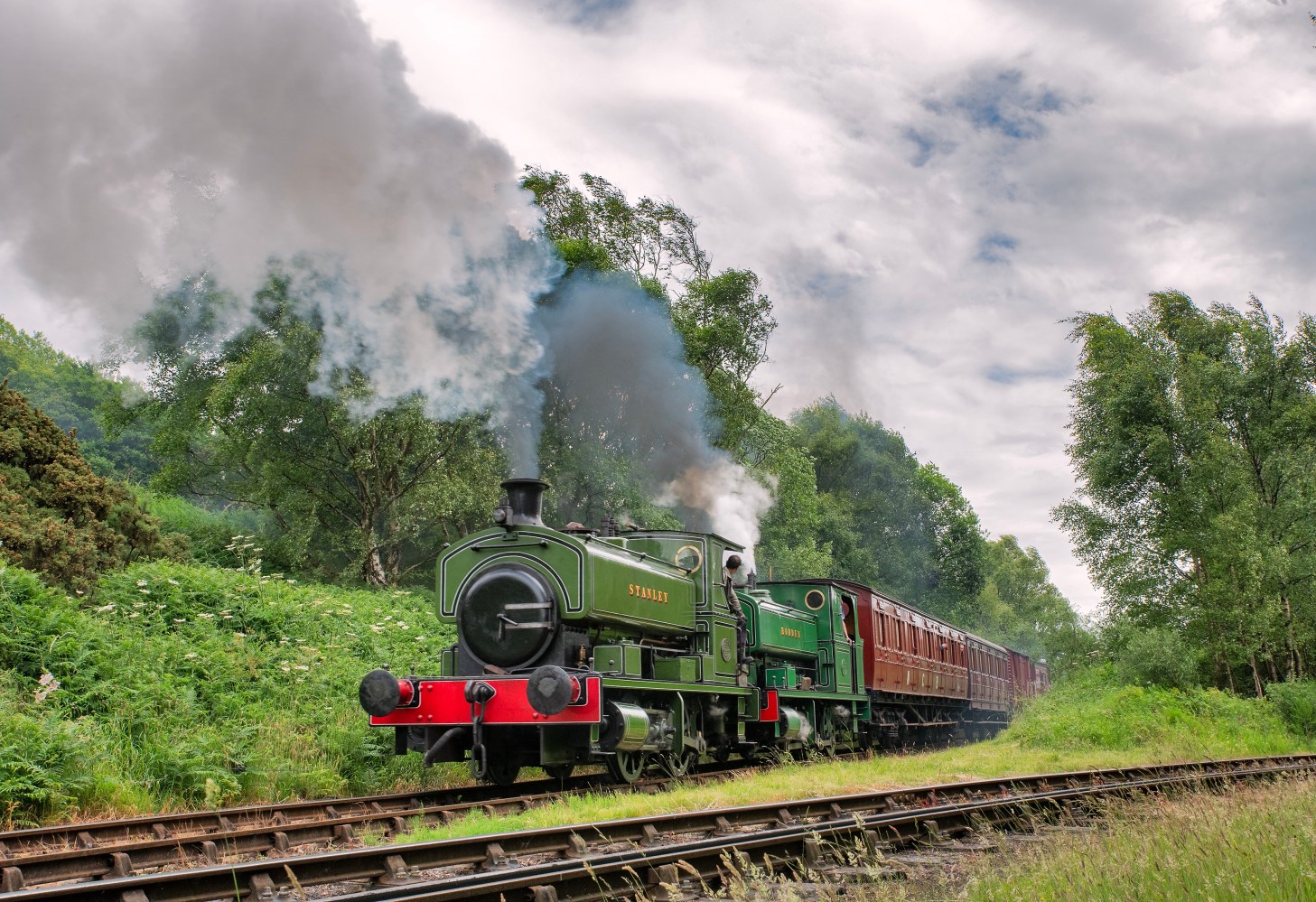 A green steam locomotive with carriages travels on tracks through a lush landscape.