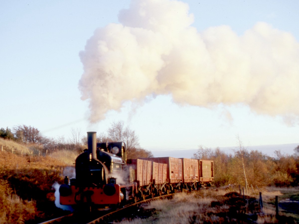 WELLINGTON ON COAL CHARTER