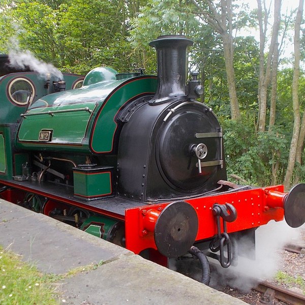 Green and black steam locomotive on railroad tracks with trees in the background.