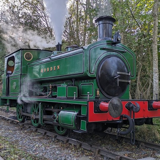 Green steam locomotive emitting smoke, on tracks in a forested area.